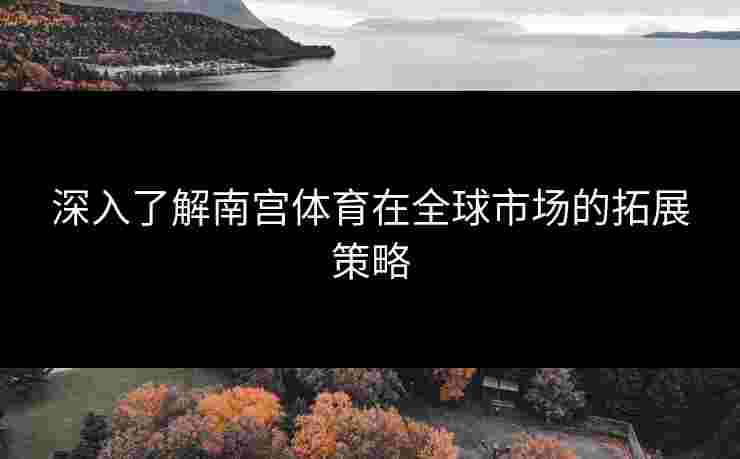 深入了解南宫体育在全球市场的拓展策略